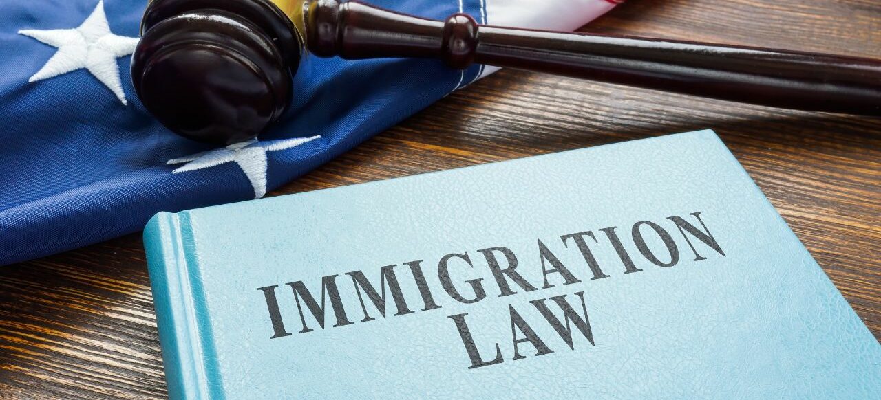 Immigrate Rights Watch webinar: Right of Immigrants + Safety Planning - Mid-Minnesota ...