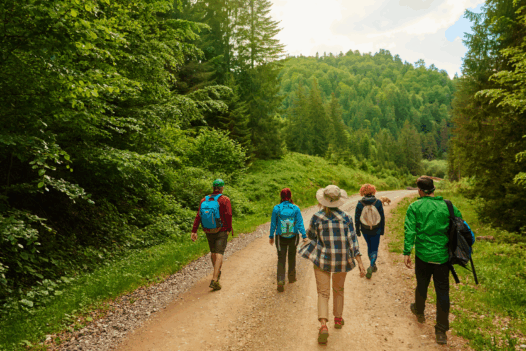 group of people walking in nature