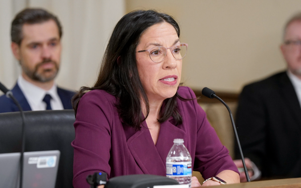 Legislative hearing, individual sits behind microphone facing panel.