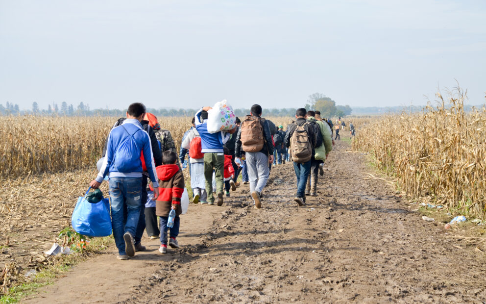 Group of people walking along a dirt path beside a cornfield, carrying bags and personal belongings.