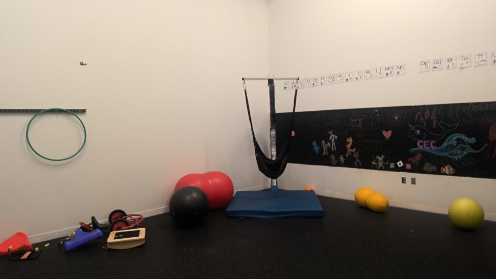 A large room with white walls. There is a chalk board on one wall, a therapy swing, medicine balls, weighted balls, tactile mats, a balance board, and a hula hoop.