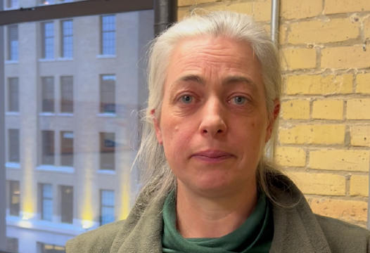 Thistle standing in front of a window